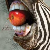 A-Z - A-Z CD Digi