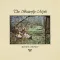 Blunt Chunks - The Butterfly Myth Forest Green LP