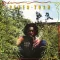Tosh Peter - Legalize It Transparent Green Solid Yellow 2LP