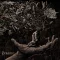 Bound In Fear - Penance Grey Black LP