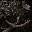 Bound In Fear - Penance Grey Black LP