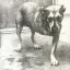 Alice In Chains - Alice In Chains 2LP