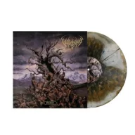 Vulvodynia - Entabeni Coloured LP