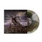 Vulvodynia - Entabeni Coloured LP