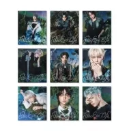 &Team - 1St Mini Al.'Back To Life' CD