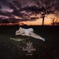 Baby Queen - I Hope You Don'T Remember Me LP