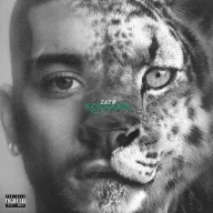 Zayn - Konnakol LP