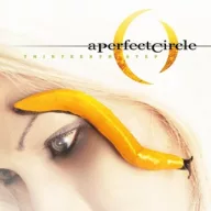 A Perfect Circle - Thirteenth Step 180g 2LP