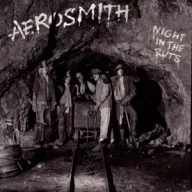 Aerosmith - Night In the Ruts 180g LP
