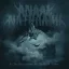 Anaal Nathrakh - In the Constellation of the Black Widow Grey Green LP