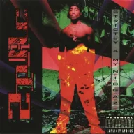 2 Pac - Strictly 4 My N.I.G.G.A.Z. 180g 2LP