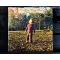 Allman Brothers - Brothers and Sisters LP Remastered