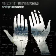 A Place To Bury Strangers - Synthesizer LP