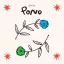 A Great Big Pile of Leaves - Pono LP