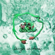 Wombo - Danger In Fives LP