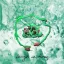 Wombo - Danger In Fives LP