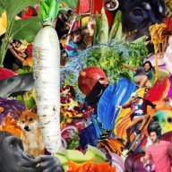 Jetski - The Radiant Radish Magnókazetta