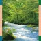 Yabuki Shiho - Alpha Wave Music LP