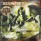 Brainstorm - Soul Temptation Green LP