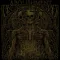Abolishment of Flesh - Inhuman Condition LP