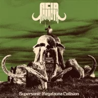 Acid Mammoth - Supersonic Megafauna Collison LP