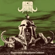Acid Mammoth - Supersonic Megafauna Collison LP