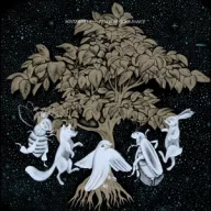 Winterpills - This is How We Dance LP