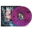 Epica - The Divine Conspiracy 2LP