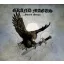 Grand Magus - Sword Songs CD