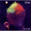 Pelander - Time LP