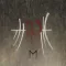 Enslaved - E CD
