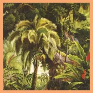 Xiu Xiu - La Foret LP