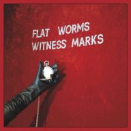 Flat Worms - Witness Marks Magnókazetta