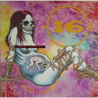 16 - Curves That Kick CD
