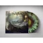 Azaghal - Alttarimme ..(Black) Coloured LP