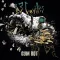 13 Cavities - Gum Rot LP