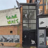 Wonk Unit - Good Good Glad To Hear It LP