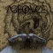 Age of Woe - Envenom LP
