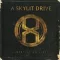 A Skylit Drive - Identity On Fire LP