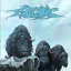 Arctic - Arctic White LP