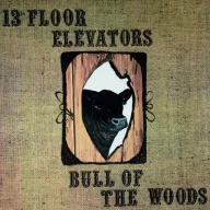 13th Floor Elevators - Bull of the Woods Black White LP