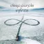 Deep Purple - Infinite Limited Edition CD+DVD Digi