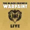Black Crowes - Warpaint Live 3LP+2CD