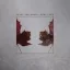 Wirelove - Leave the Bones LP
