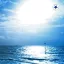 Torpedoes - Heaven's Light Our Guide 2CD
