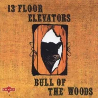 13th Floor Elevators - Bull of the Woods CD