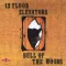 13th Floor Elevators - Bull of the Woods CD