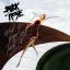 Black Rose - Walk It How You Talk It 2CD