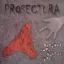 Prosectura: Szegény ember kézzel nőz CD