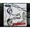 Trottel - The Same Story Goes On LP